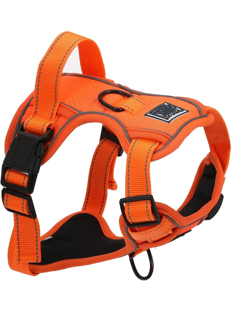 Mon Ami Luki  Harnais réfléchissant Orange - Kiabi