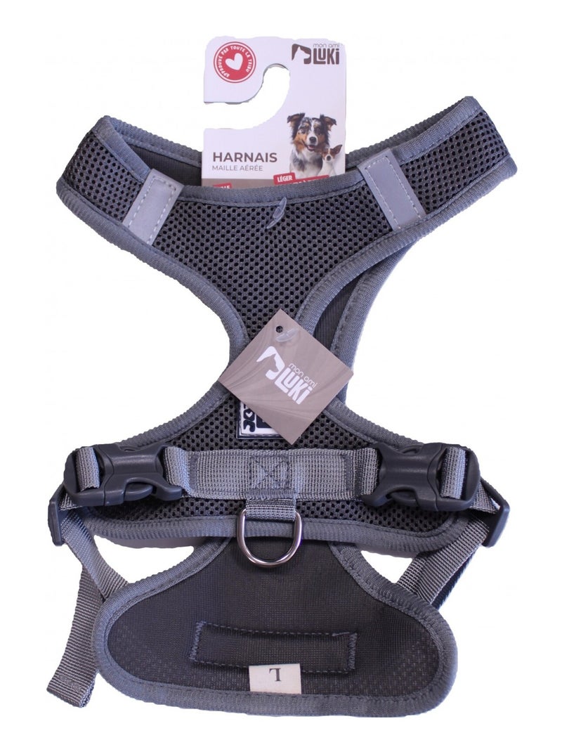Mon Ami Luki  Harnais textile garrot Gris Gris - Kiabi