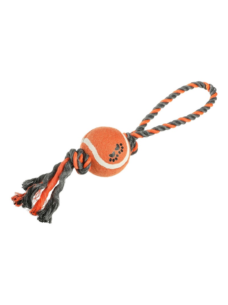 Mon Ami Luki  Jouet corde + balle Multicolore - Kiabi