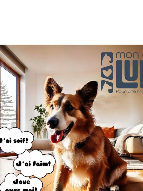 Mon Ami Luki  Jouet éducatif sonore en boîte - Kiabi