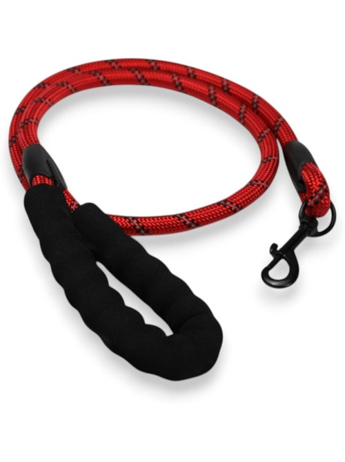 Mon Ami Luki  Laisse chien nylon ronde 1.2m - Kiabi