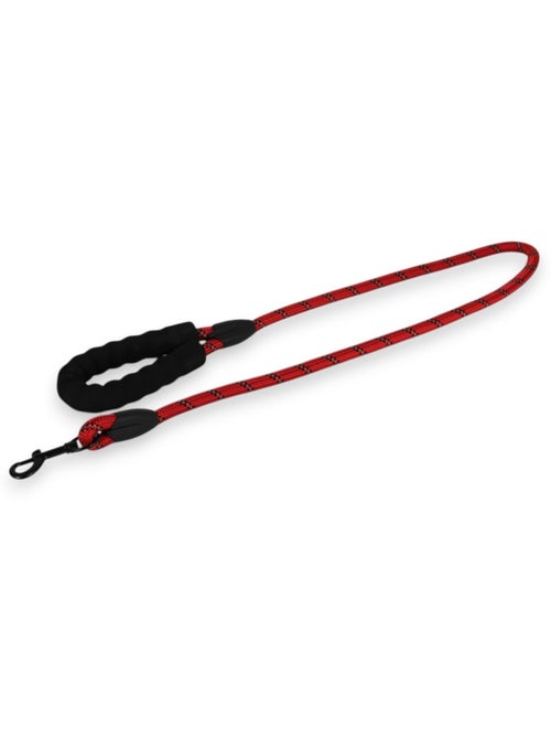 Mon Ami Luki  Laisse chien nylon ronde 1.2m - Kiabi