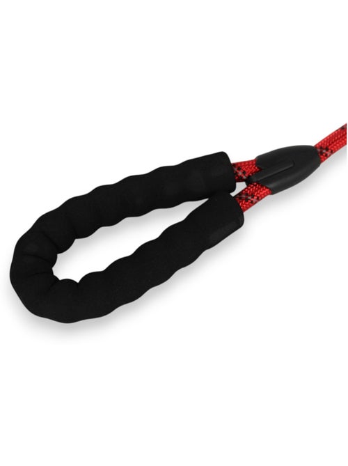 Mon Ami Luki  Laisse chien nylon ronde 1.2m - Kiabi