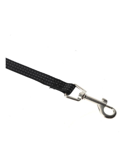 Mon Ami Luki  Laisse nylon protection - Kiabi