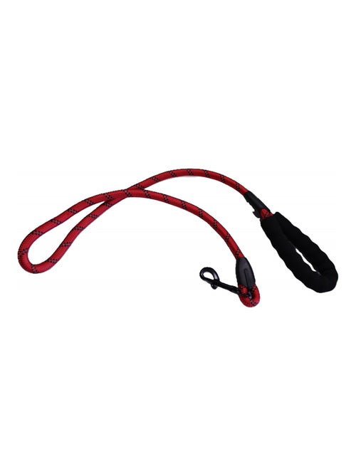 Mon Ami Luki  Laisse nylon réfléchissante - Kiabi