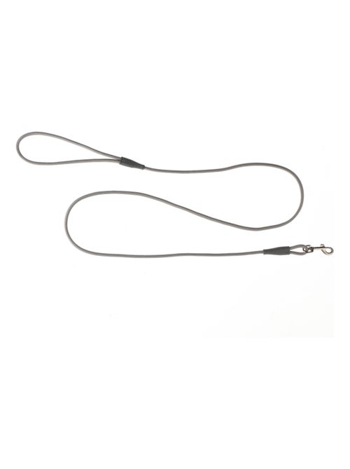 Mon Ami Luki  Laisse nylon ronde - Kiabi