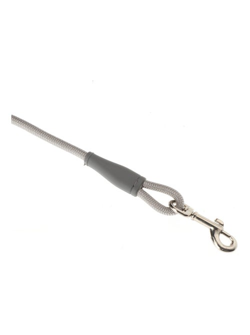 Mon Ami Luki  Laisse nylon ronde - Kiabi