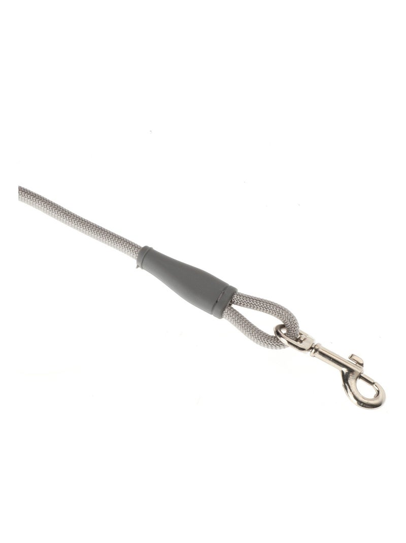 Mon Ami Luki  Laisse nylon ronde Gris Gris - Kiabi