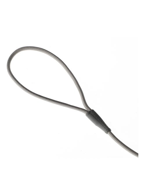Mon Ami Luki  Laisse nylon ronde - Kiabi