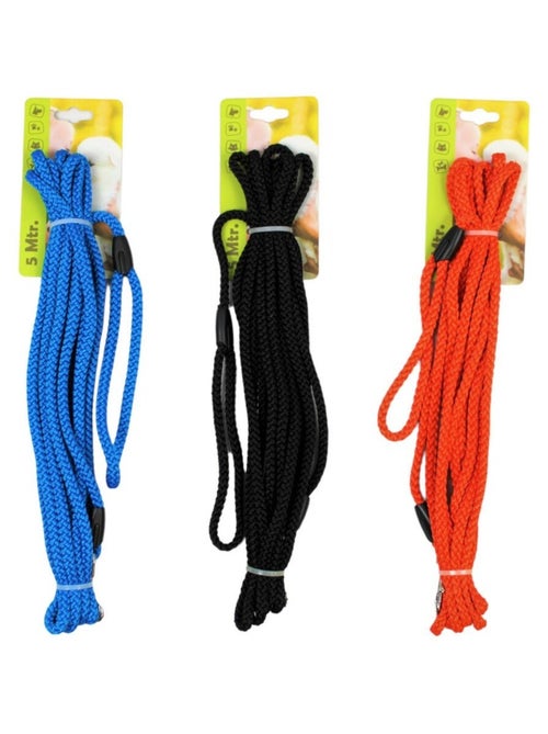 Mon Ami Luki  Longe nylon - Kiabi