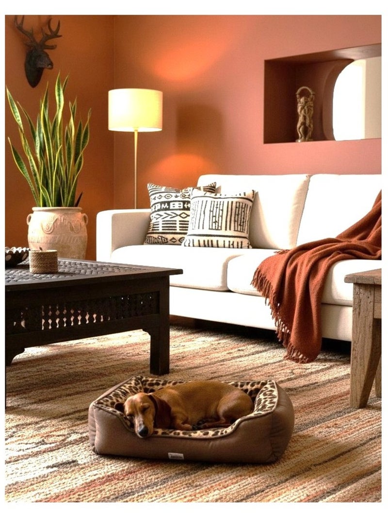 Mon Ami Luki  Panier LÉOPARD antidérapant et confortable Marron - Kiabi