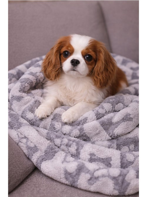 Mon Ami Luki  Plaid imprimé chien & chat - Kiabi