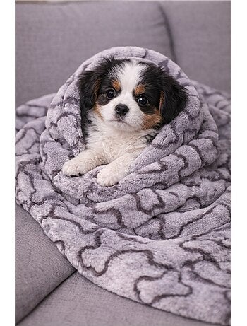 Mon Ami Luki Plaid imprimé chien & chat