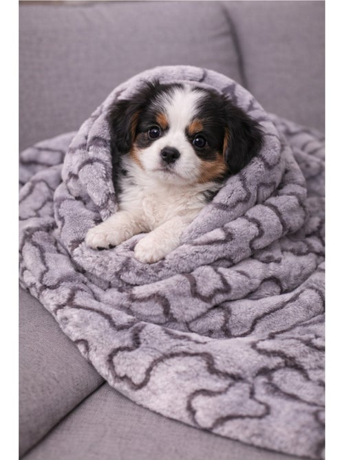 Mon Ami Luki  Plaid imprimé chien & chat - Kiabi
