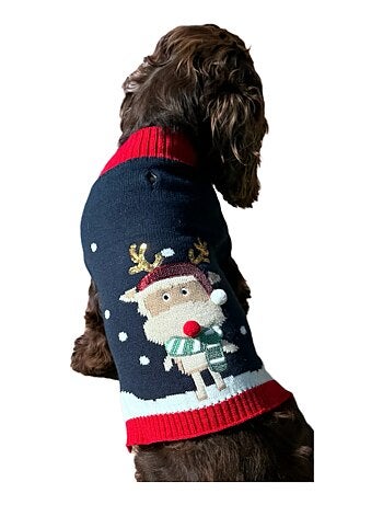 Mon Ami Luki PULL NOEL BRODE RENNEPOUR CHIEN DEGUISEENT TRICOTE FESTIF EXISTE EN 3 TAILLES