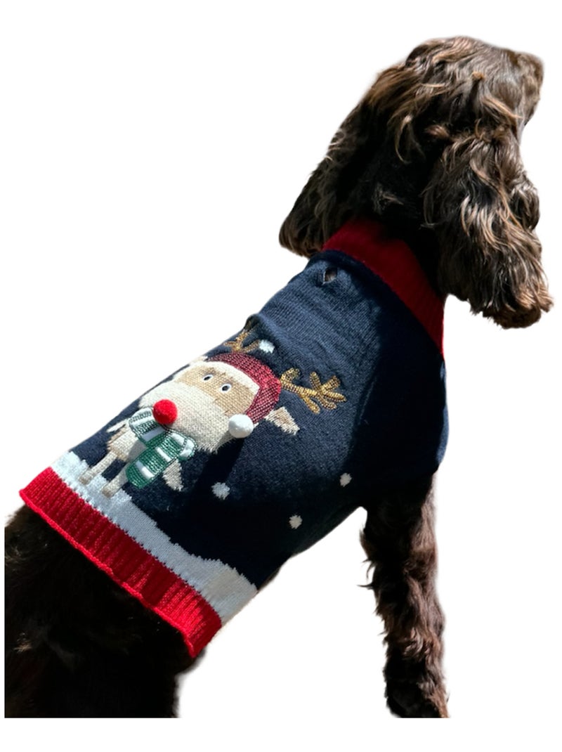 Mon Ami Luki  Pull noel brode rennepour chien deguisement tricote  festif Bleu - Kiabi