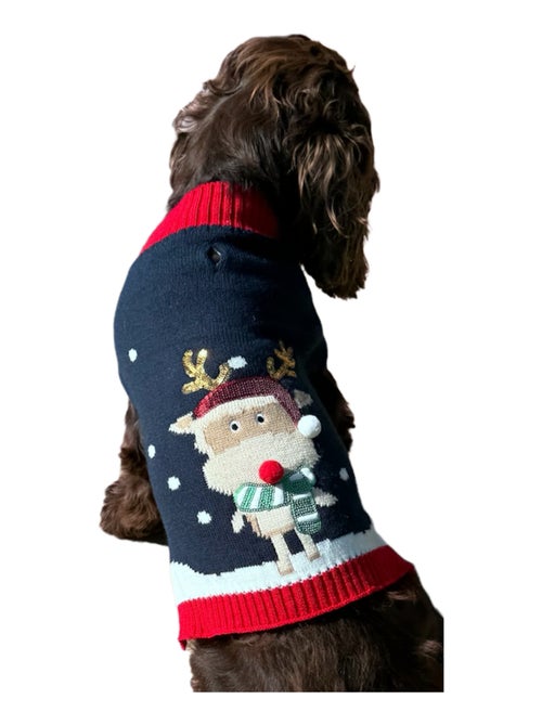 Mon Ami Luki  Pull noel  pour chien  deguisement tricote  festif - Kiabi