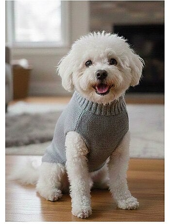 Mon Ami Luki Pull over doux et confortable petit chien
