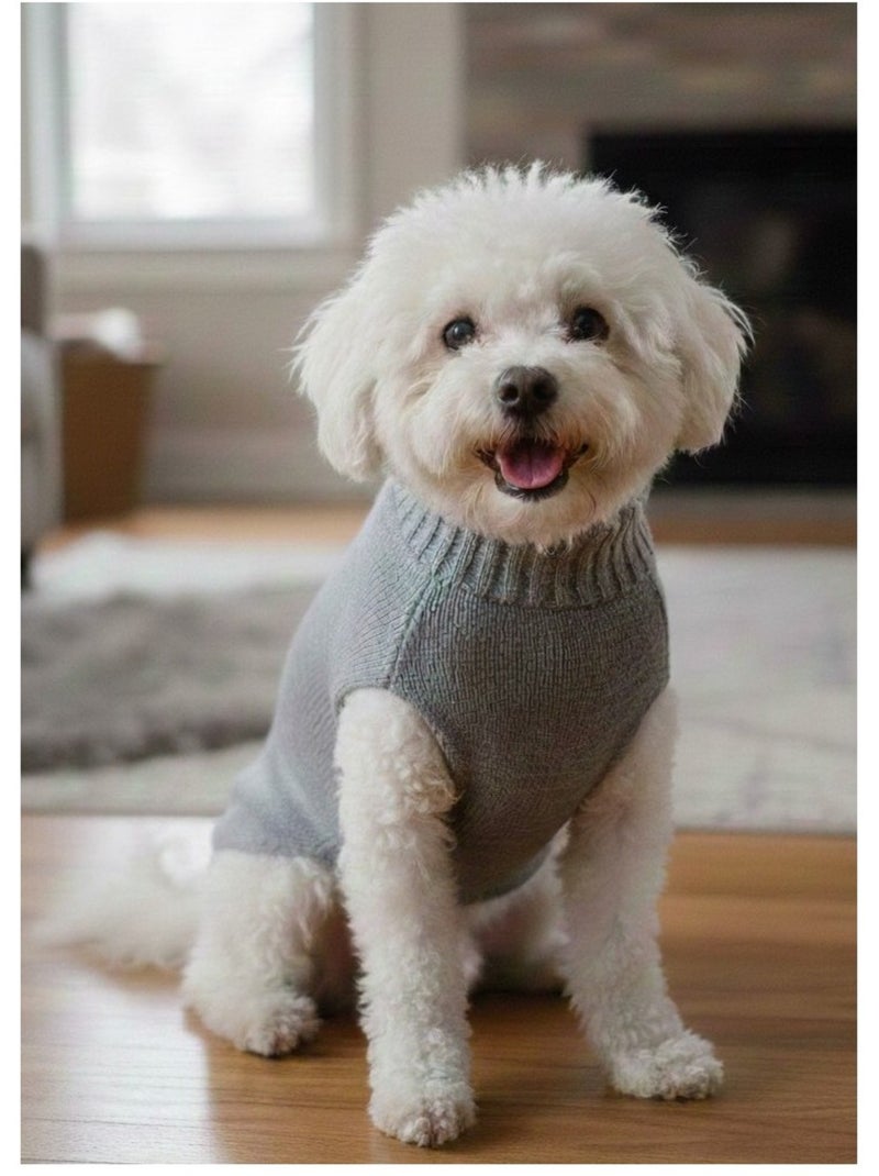 Mon Ami Luki  Pull over  doux et confortable  petit chien Gris Gris - Kiabi