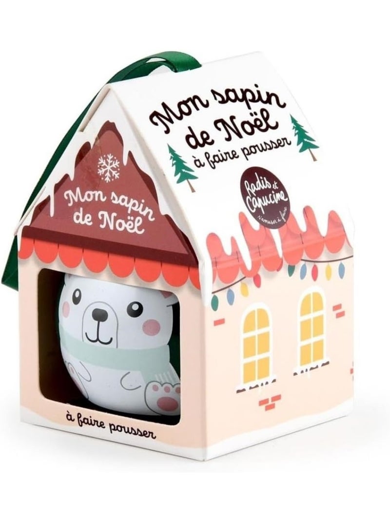 Mon sapin de Noël à faire pousser Vert - Kiabi
