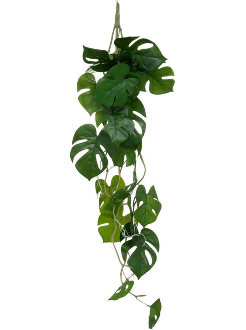 Monstera artificiel à suspendre gala - Kiabi