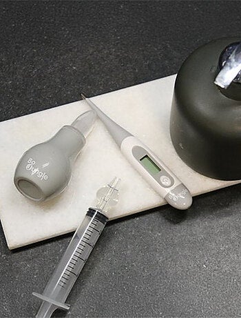 Mouche bébé avec poire Bo Jungle