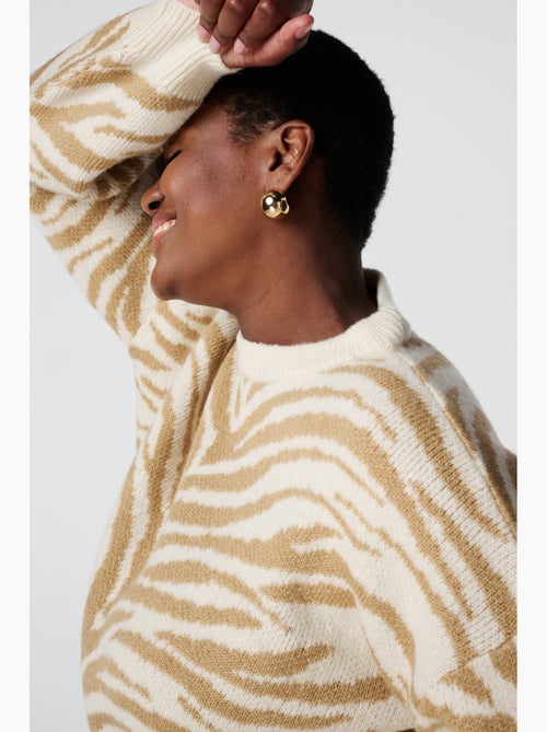 MS MODE Pull Pull en maille à rayures zébrées - Kiabi