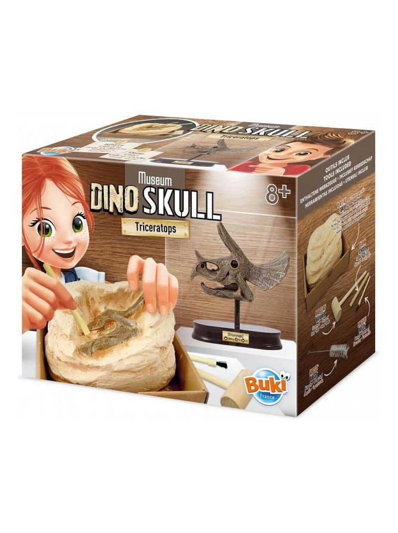Museum dino skull - tricératops N/A - Kiabi