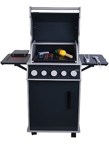 NAPOLEON Barbecue avec accessoires