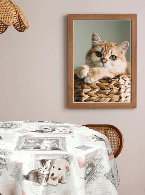 Nappe en toile cirée ronde motifs chatons MIMI - Diam. 150 cm - Kiabi