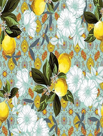 Nappe Toile cirée au mètre Agrumi menthe - Kiabi