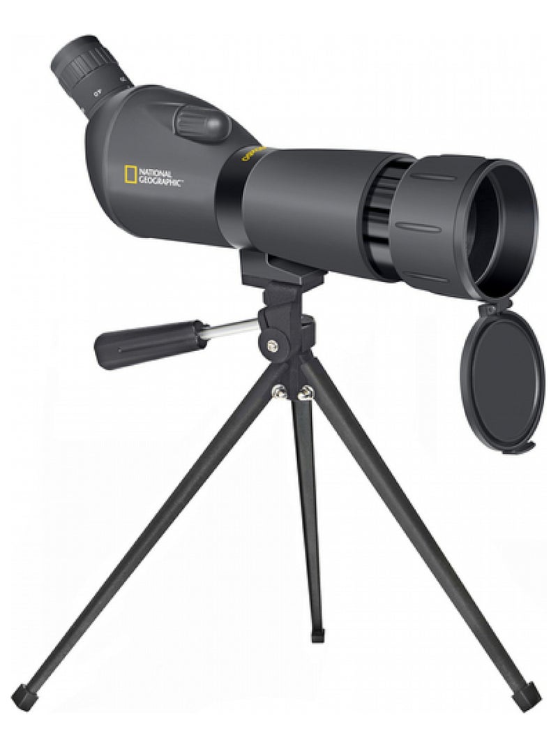 National Geographic' longuevue x N/A - Kiabi