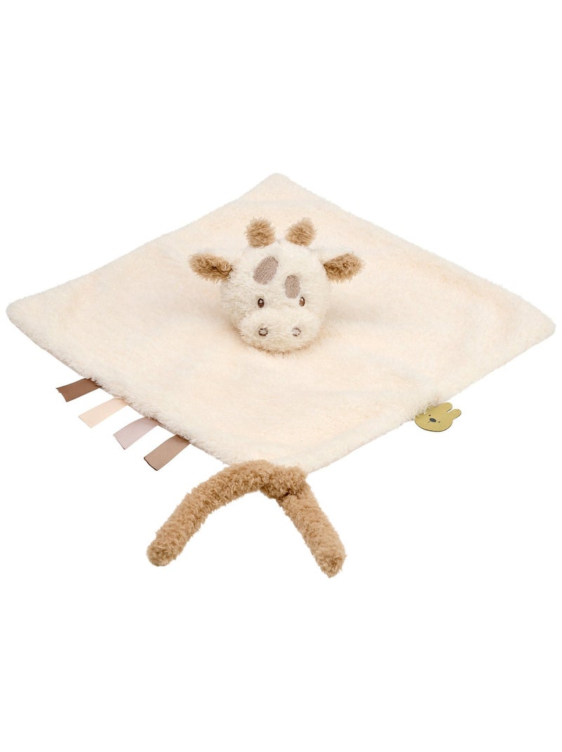 Nattou - Doudou attache sucette Teddy Ecru - Kiabi