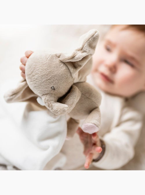 Nattou - Doudou câlin - Kiabi