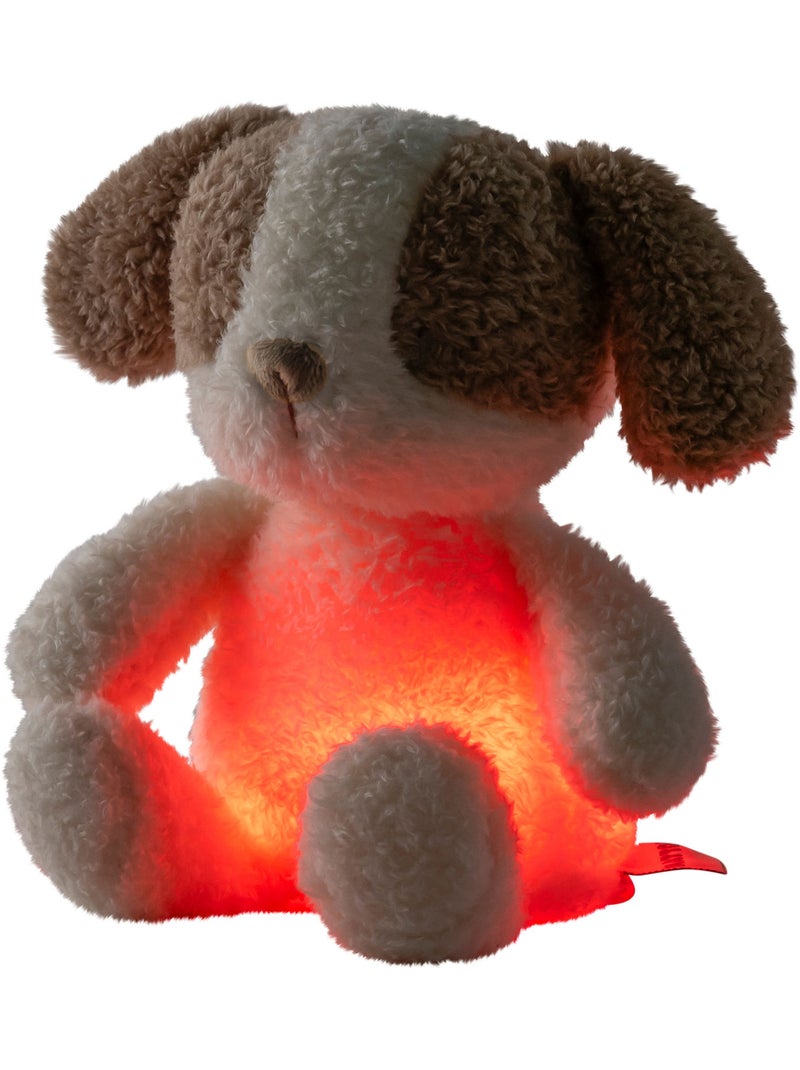 Nattou - Peluche veilleuse Ecru - Kiabi