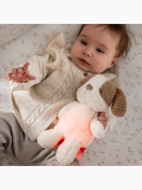 Nattou - Peluche veilleuse - Kiabi