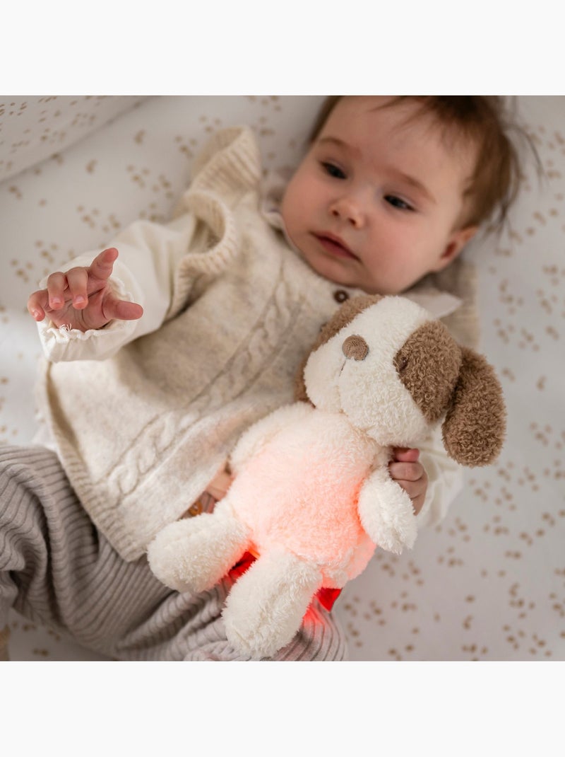 Nattou - Peluche veilleuse Ecru - Kiabi