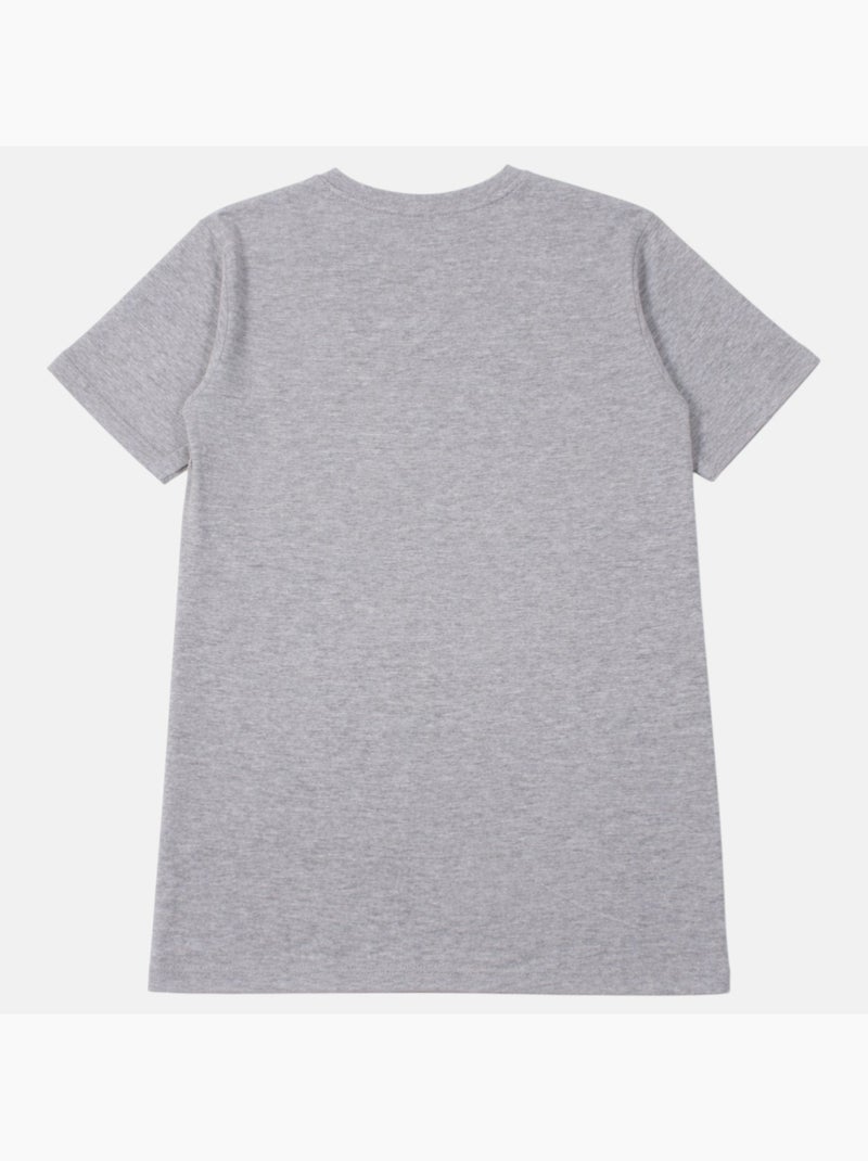 Nautica - T-shirt manches courtes imprimé Gris - Kiabi