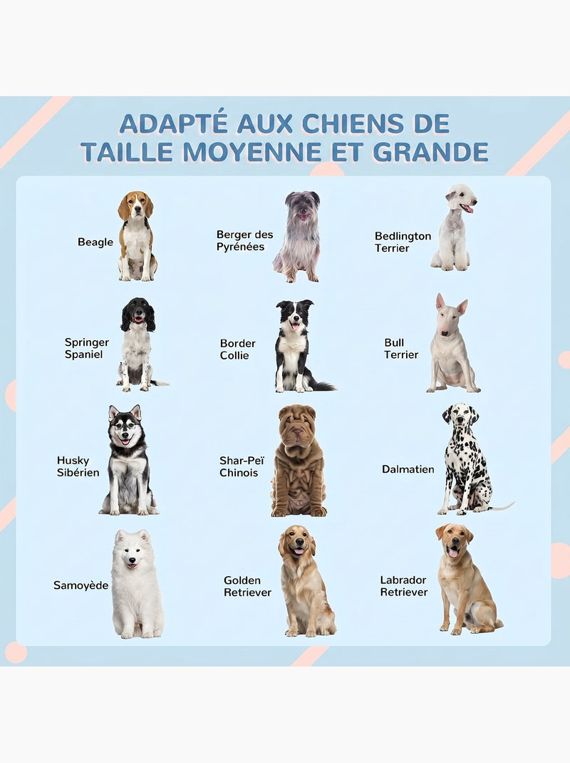 Niche chien style cottage - porte, aération - pp Bleu Bleu - Kiabi