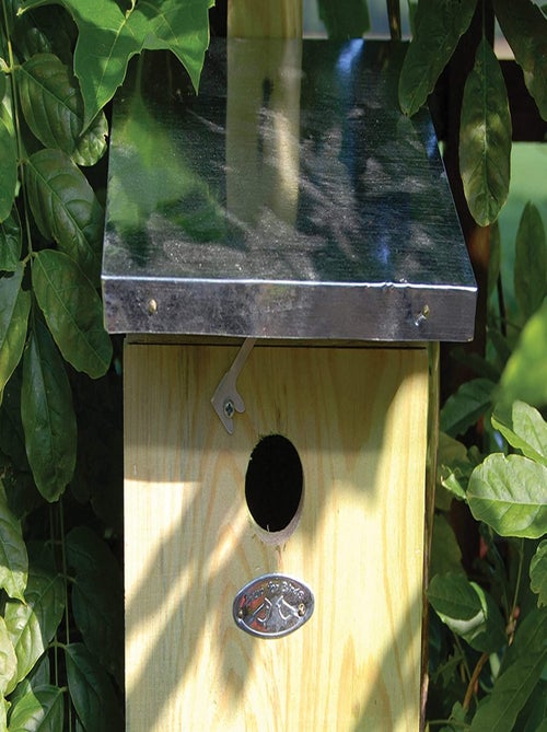 Nichoir mésange charbonnière - Kiabi