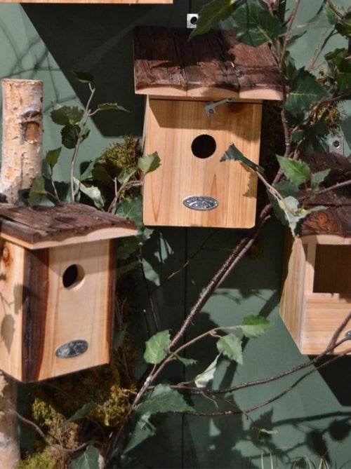 Nichoir roitelet avec toit en écorce - Kiabi