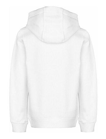Nike - Sweat à capuche PARK