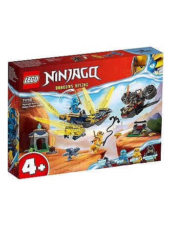 Ninjago Le combat du bébé dragon de Nya et Arin