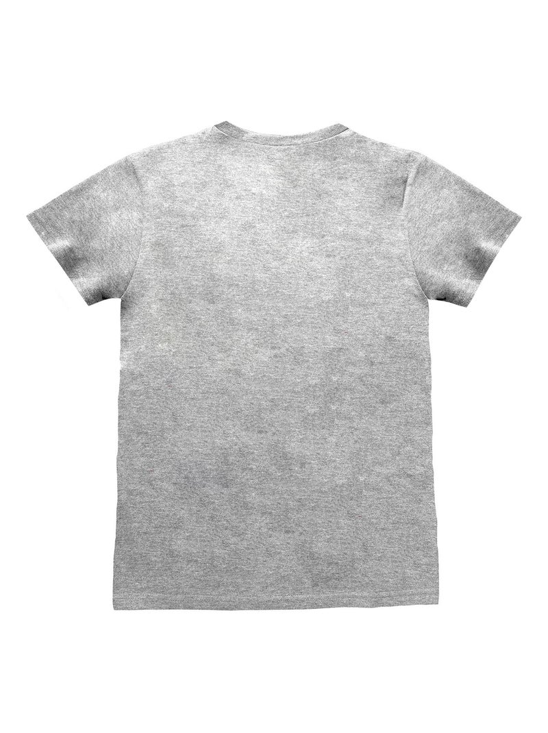 Nintendo - T-shirt LEGEND OF ZELDA Gris - Kiabi