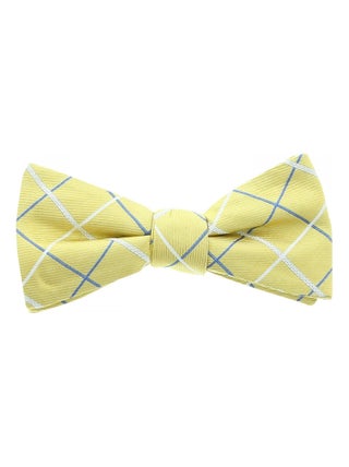 Noeud papillon DANDY