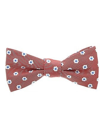 Noeud papillon DANDY