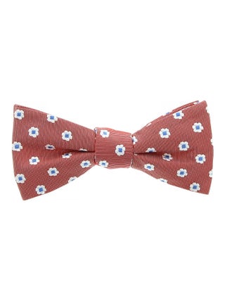 Noeud papillon DANDY