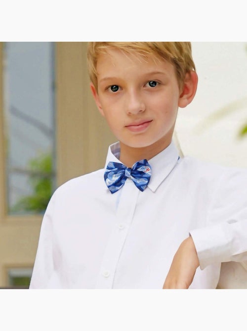 Noeud Papillon  Imprimé Poisson Koi    Cérémonie - La Faute à Voltaire - Kiabi