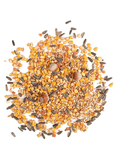 Nourriture pour écureuils - Kiabi