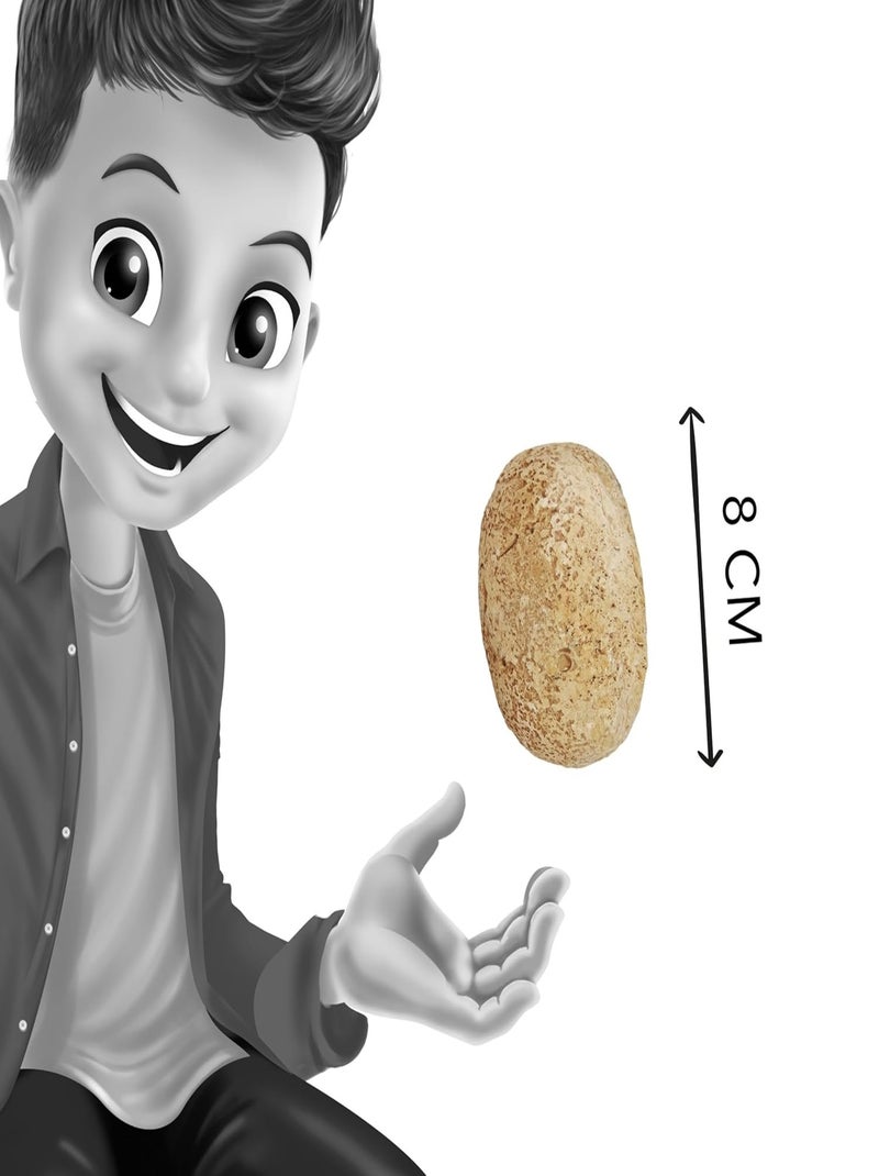 Œuf Dino Surprise Rouge - Kiabi